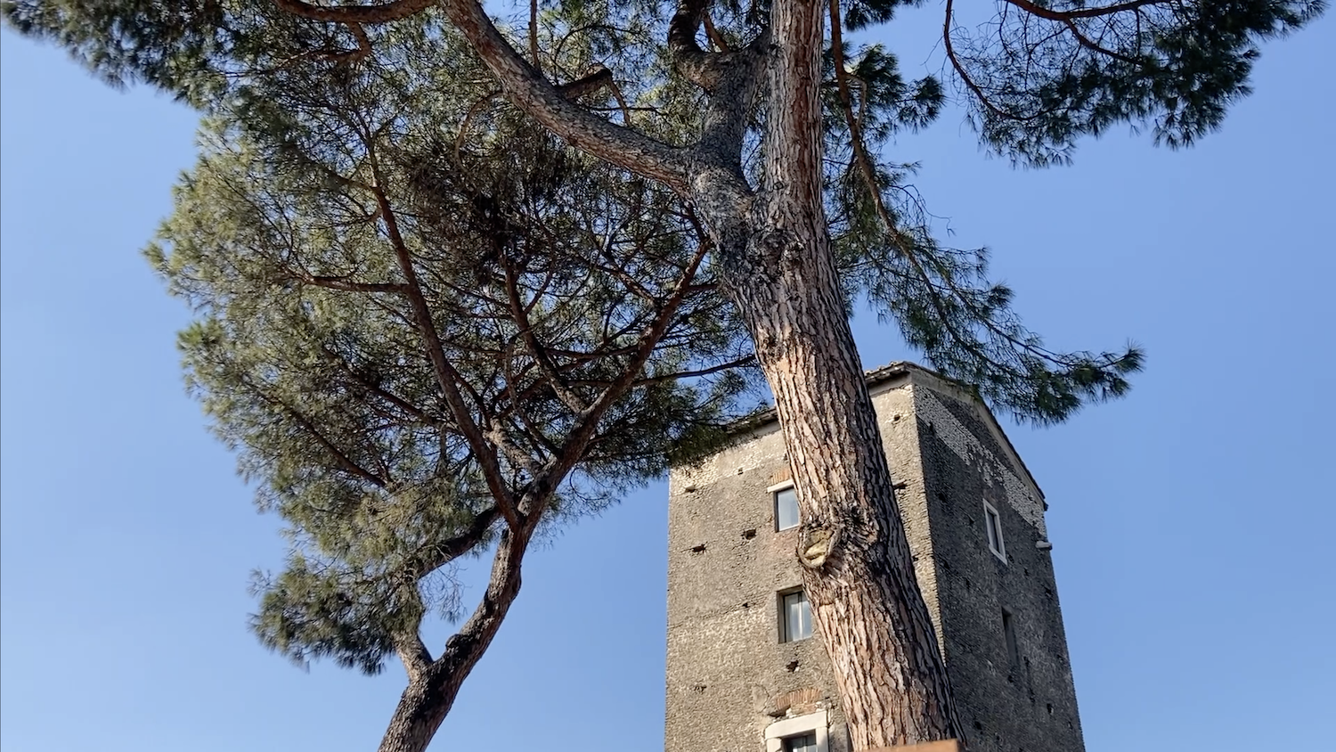 La torre sorge lungo la Via Salaria, a pochi chilometri dal centro di Roma, tra alberi di pino che conservano tracce dell’antico paesaggio della campagna romana
