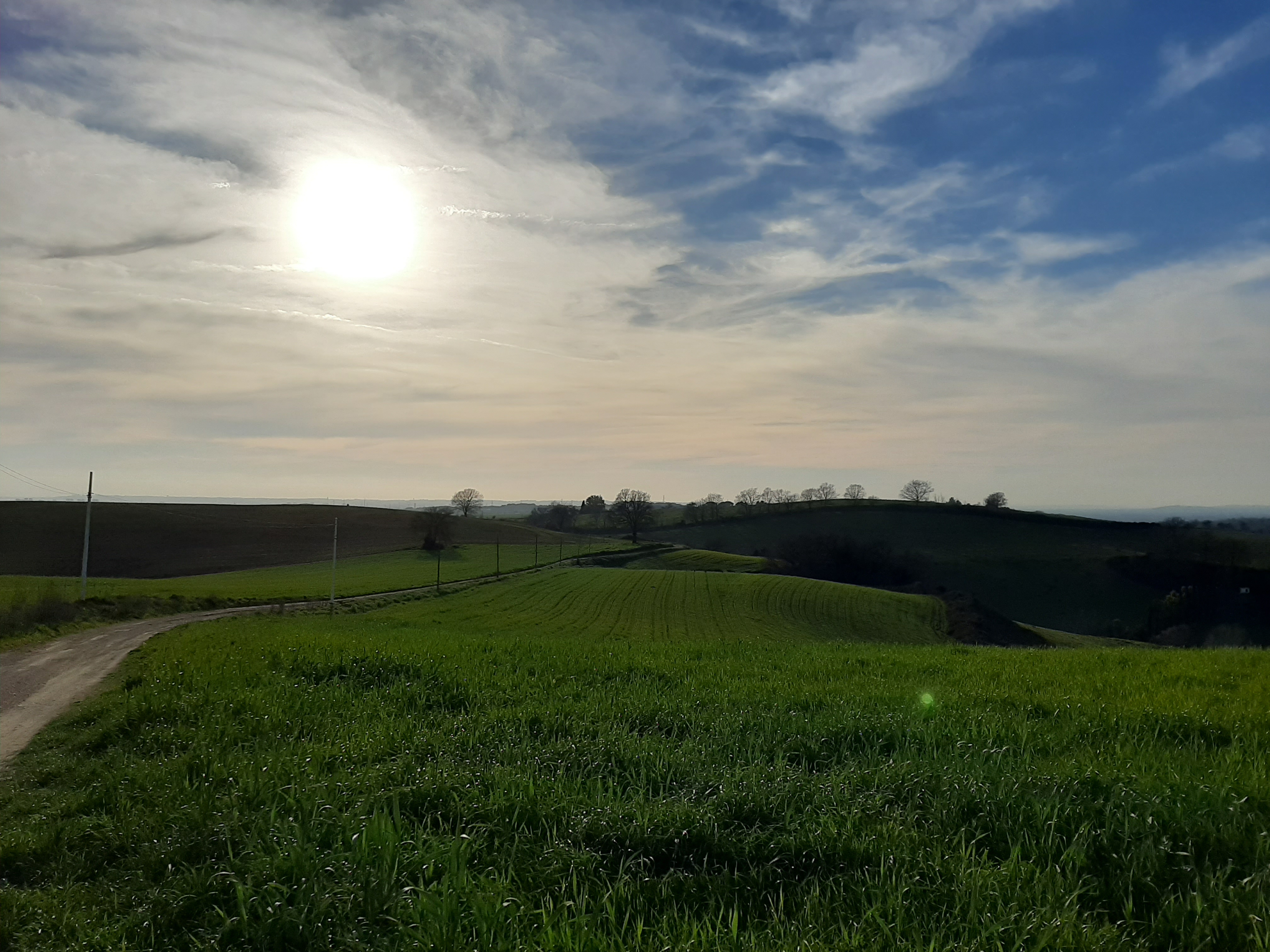 La Riserva della Marcigliana conserva un paesaggio tradizionale agricolo, seppure appena al di là del Raccordo Anulare.